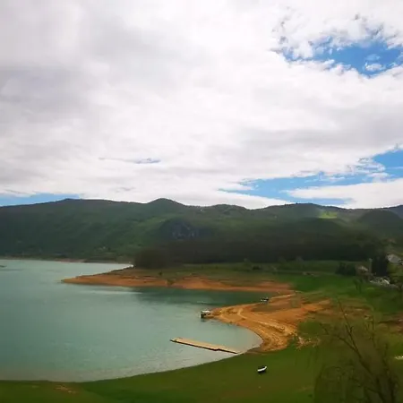 Scit
